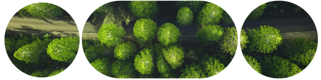 Logística verde: hacia un futuro más eficiente y sostenible con SIM Levante 3 verde logística verde simlevante